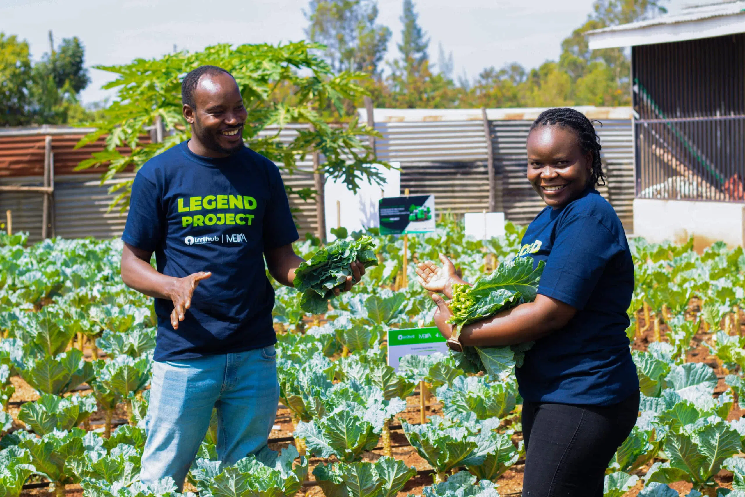 The Backyard Garden Now Growing Rental Income: Ruth’s Path to Financial Independence