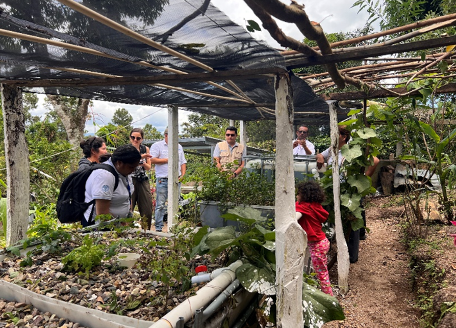 Introducing innovative aquaponic systems to farmers in Honduras